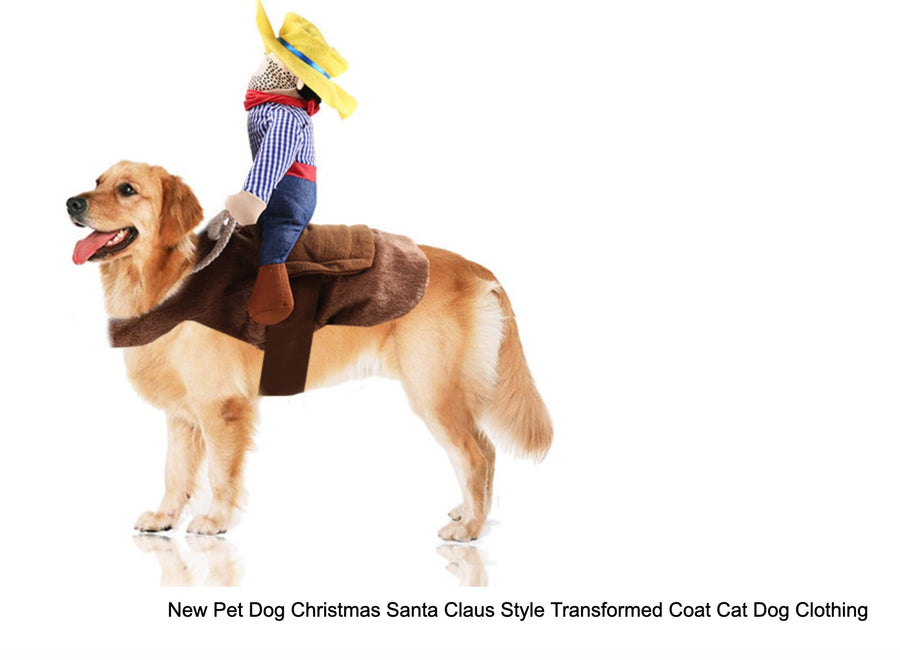 Riding clothes pet clothes