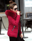 Korean Style Hooded Down Padded Jacket All-Match Small Cotton Jacket