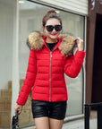 Slim cotton padded jacket and down jacket