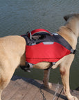 Pet backpack life jackets