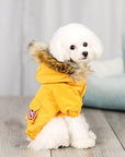 Pet dog clothes wool hat clothes cotton clothes