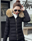 Slim cotton padded jacket and down jacket