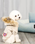 Pet dog clothes wool hat clothes cotton clothes