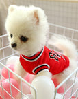 Dog Summer Clothes Teddy Vest Breathable