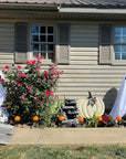 Ghost Halloween Decorations In The Front Porch Courtyard